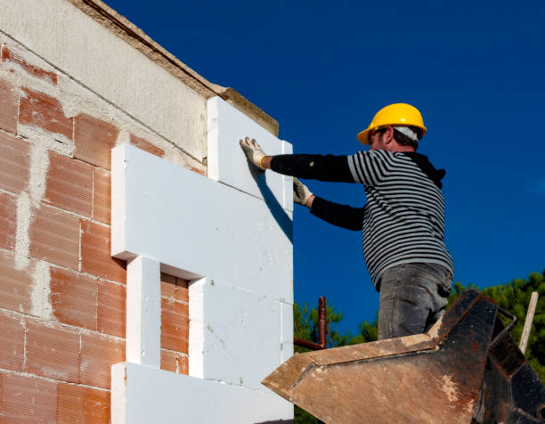 Best Geographic-Specific Insulation Services in Lake Odessa, MI