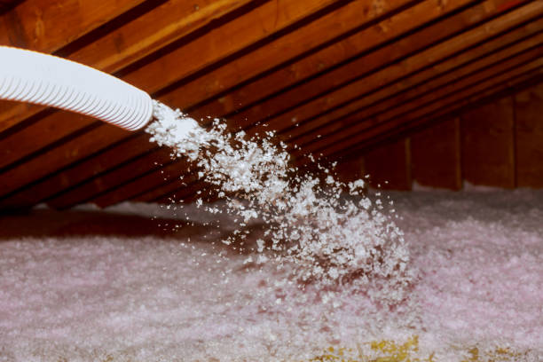  Lake Odessa, MI Insulation Contractor Pros