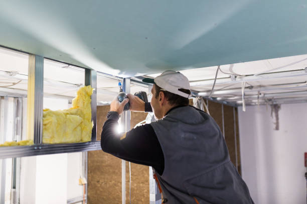 Best Commercial Insulation in Lake Odessa, MI