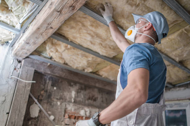 Trusted Lake Odessa, MI Insulation Contractor Experts