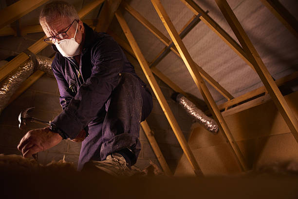 Best Fiberglass Insulation in Lake Odessa, MI